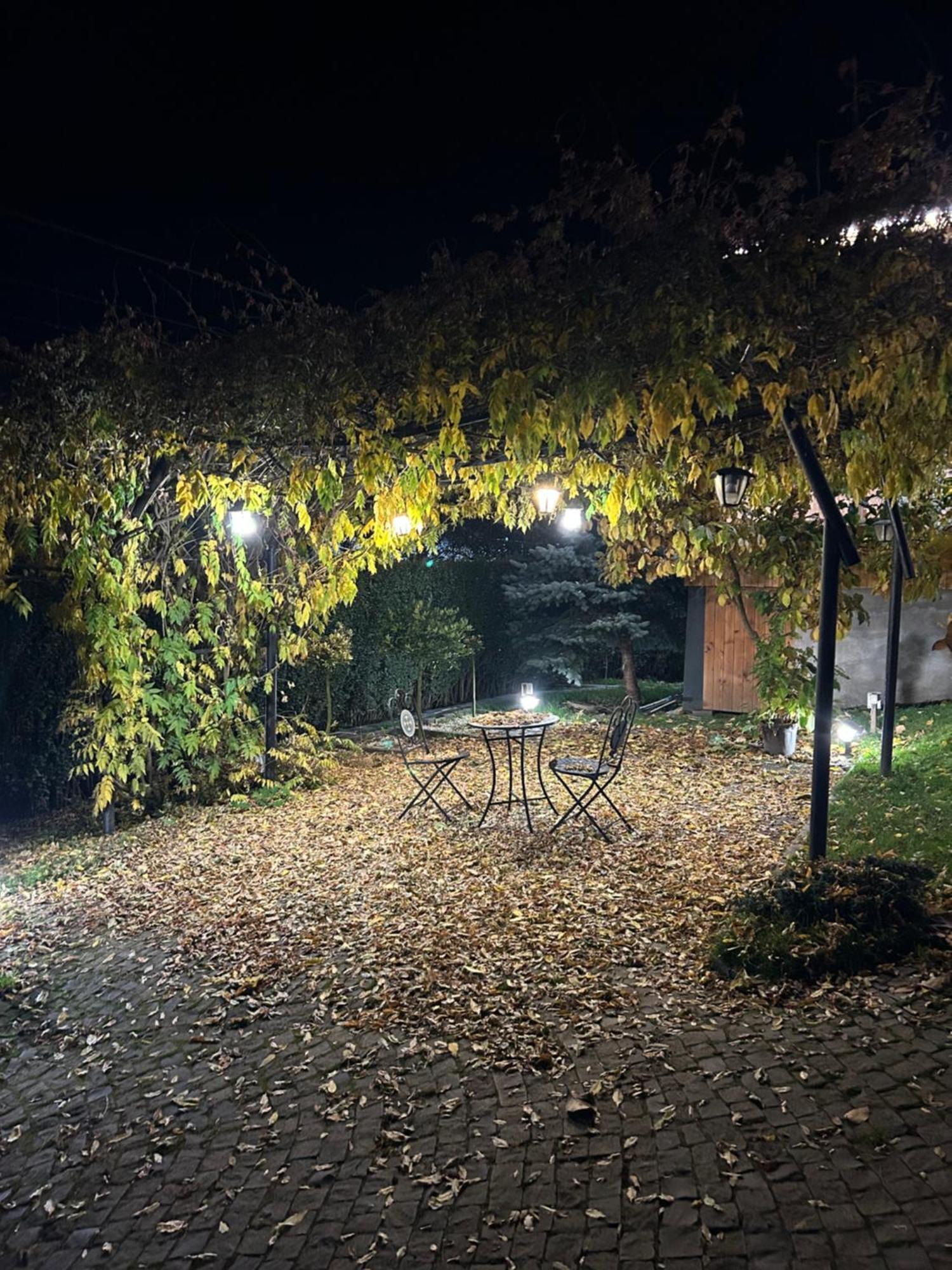 Hotel Casa Cu Magnolii à Poienile Izei Extérieur photo